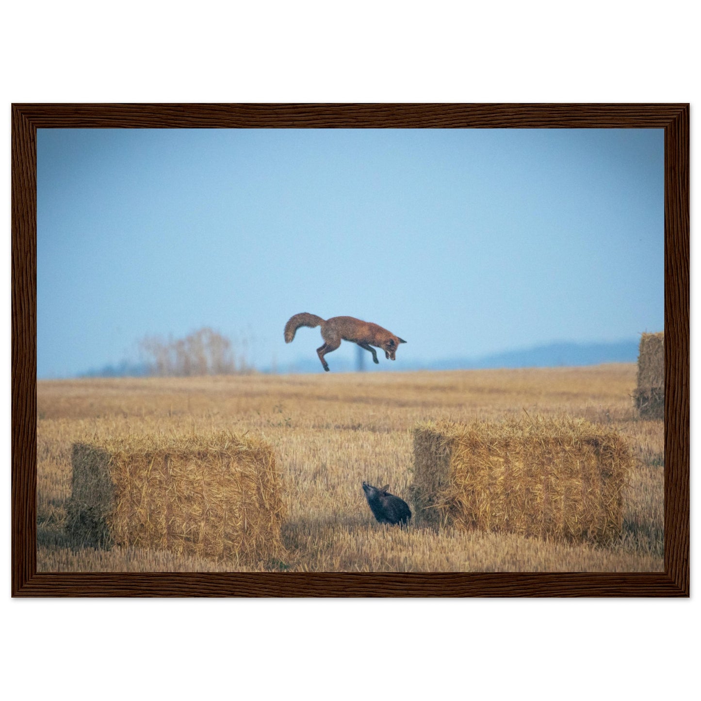 9fa233e1-a94c-4015-86c7-b3b37fde4396